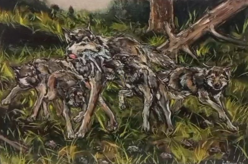 Волчица и волчата. Добыча.