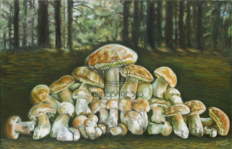Белые грибы из леса возле хутора Вихляевский.