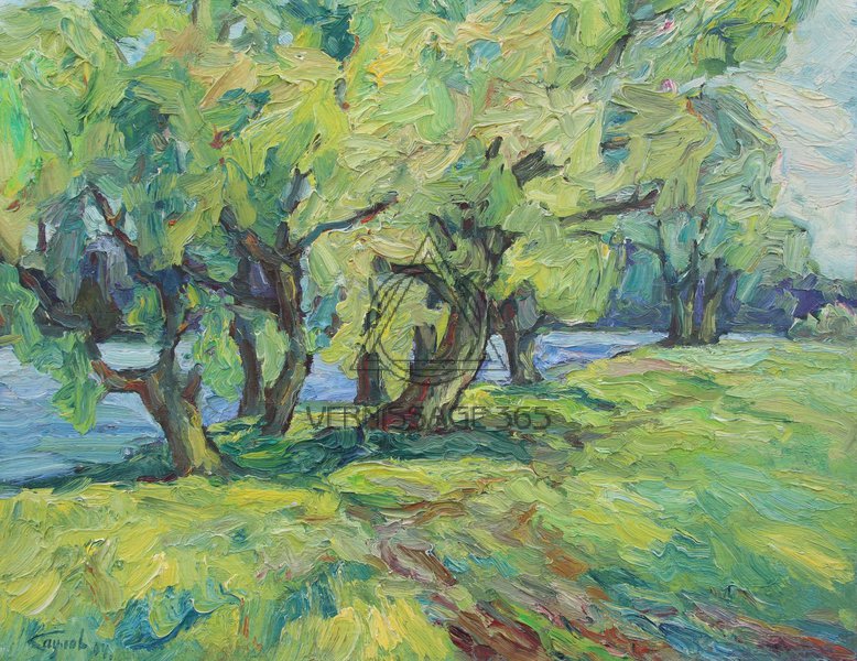 Шелонь. Ветер