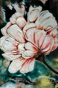 Парнасский цветок