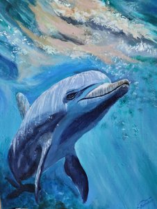 Дельфин