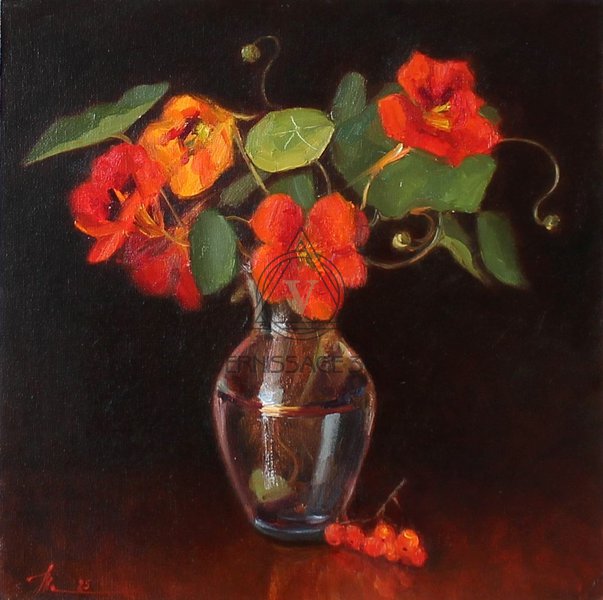 Настурция в тёмном