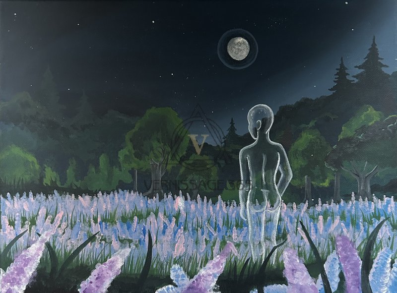 Наблюдатель