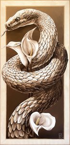 Королевский альбинос