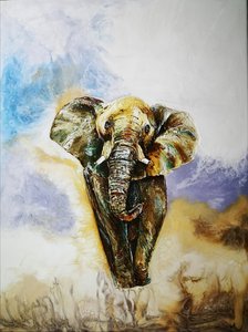 Странствующий слон