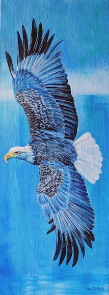 Белоголовый орлан