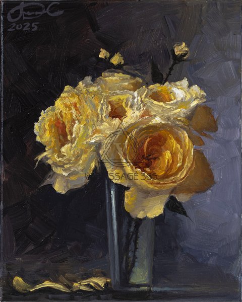 Желтые розы