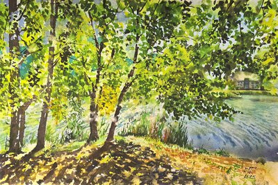 Солнечная поляна