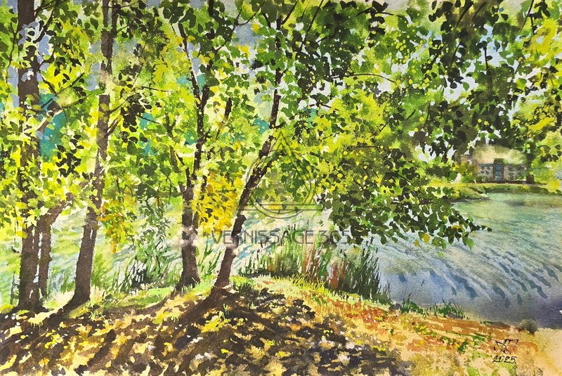 Солнечная поляна