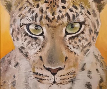 Взгляд в душу