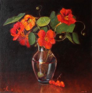 Настурция с тёмном