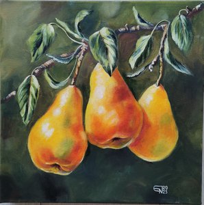 Груши на ветке