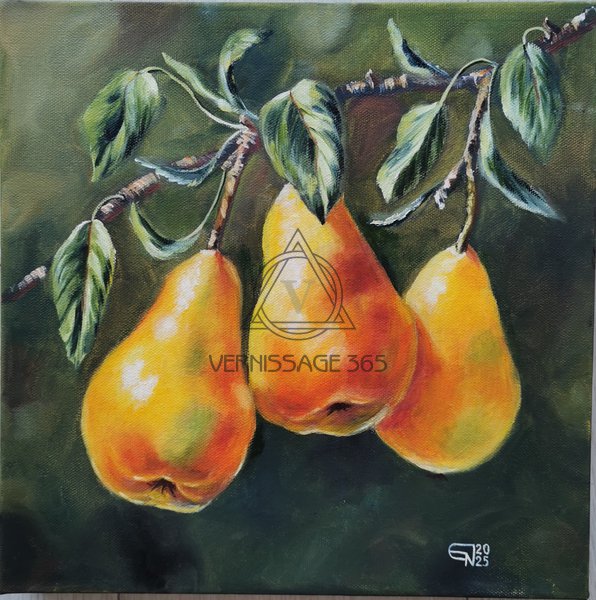 Груши на ветке