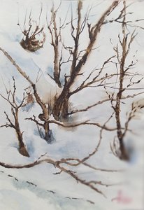 Зимние Шёпоты