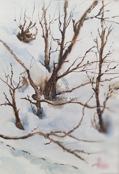 Зимние Шёпоты