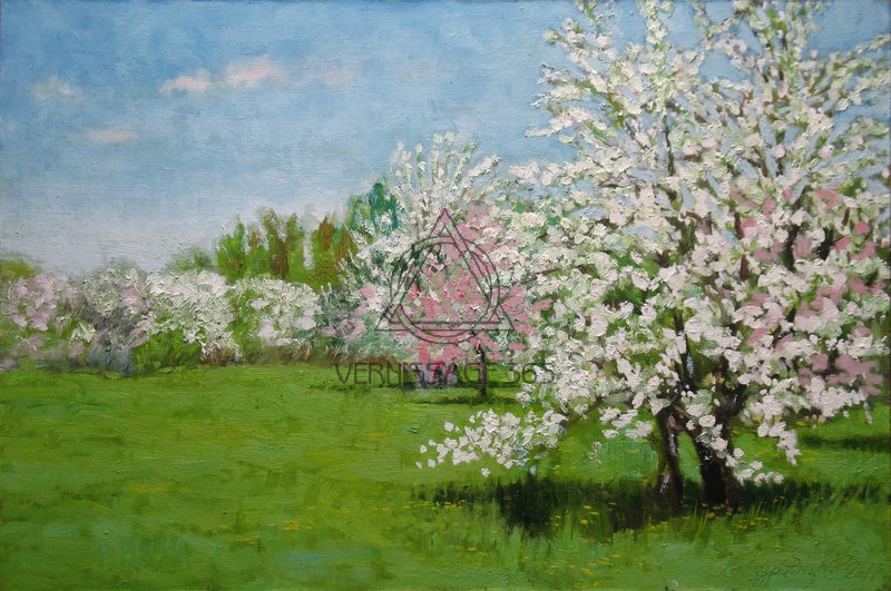 Весна.Яблоневый сад