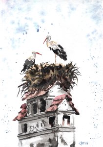 Аисты: вестники счастья