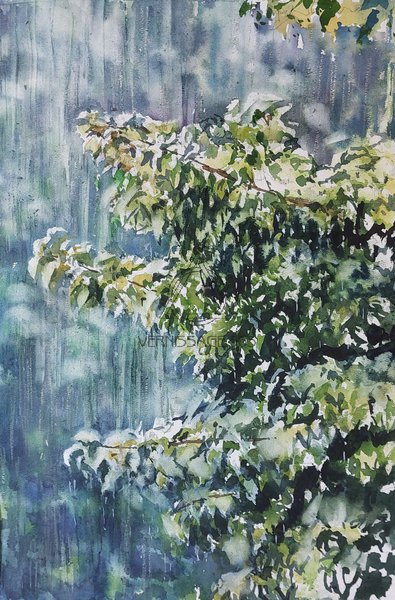 Дождь в лесу