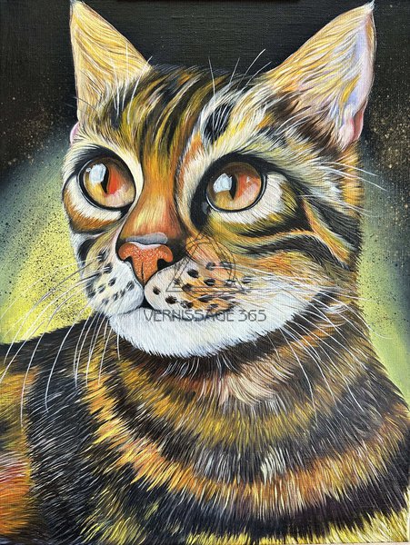 Взгляд в космос