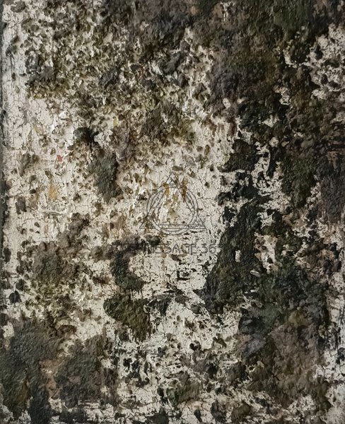 Фактурная картина Мох