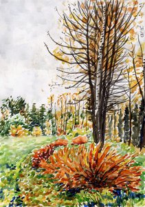 Осень в денрарии