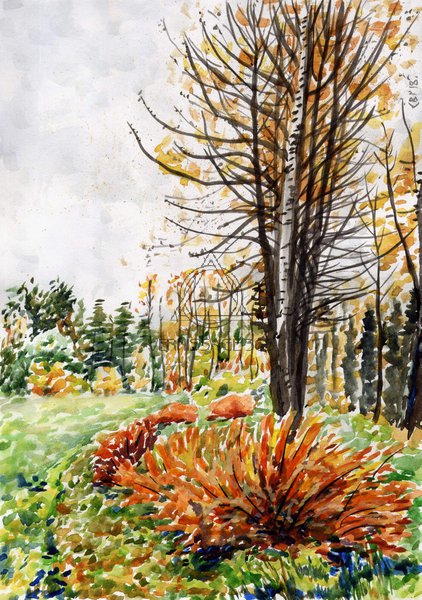 Осень в денрарии