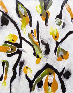 дикая земля