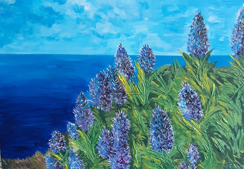 Цветы Эхиум кандиканс острова Мадейра..