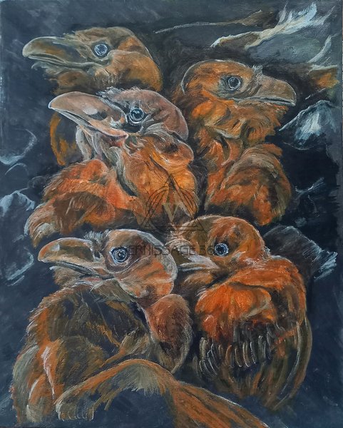 Вороново семейство. 2вариант.