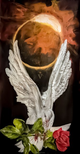 Свадебный голубь