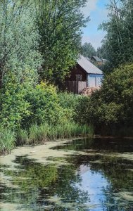 Деревенский пруд.