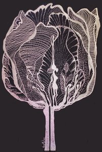 Тюльпан цветок влюбленных