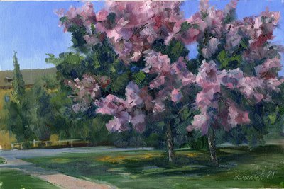 яблоневый цвет