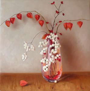 Физалис и снежноягодник