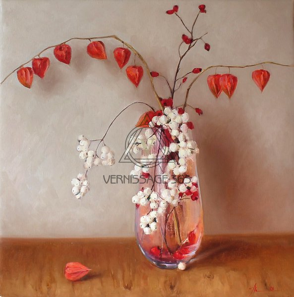 Физалис и снежноягодник