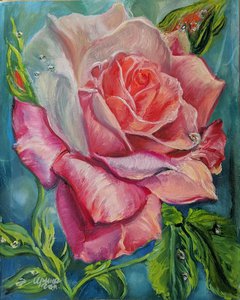 Роза в каплях дождя