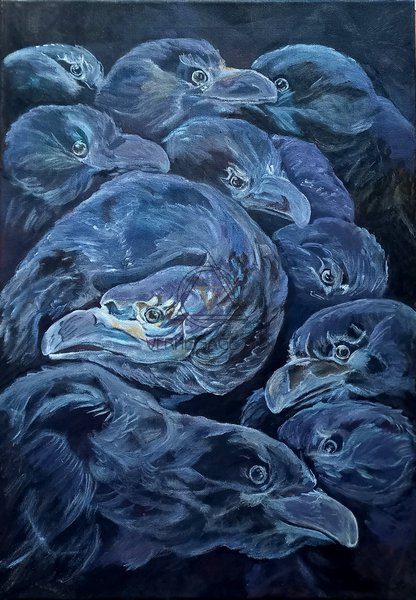 Вороново семейство.Темные темные вороны.