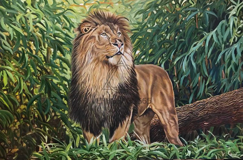 Лев в бамбуке