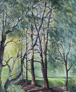 Блики солнечного утра