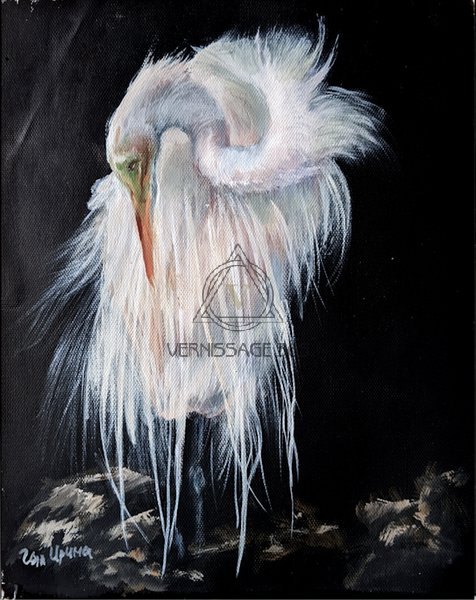 Белая цапля, смотрящая вниз