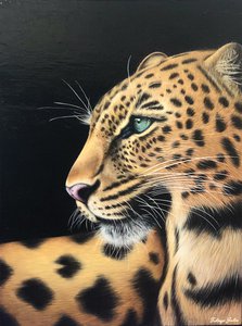 Серия « Взгляды. Леопард»