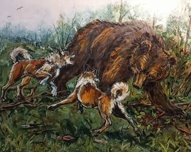 Охота на медведя с лайками