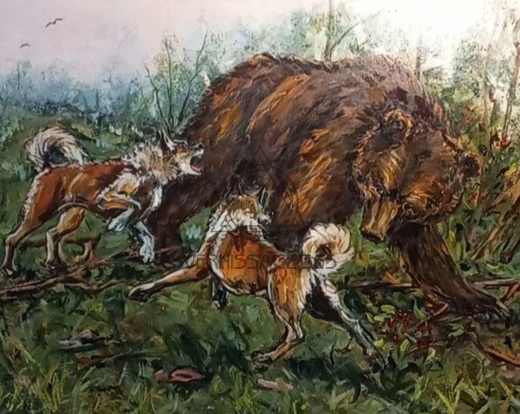 Охота на медведя с лайками