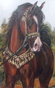 Портрет лошади "Жемчужина востока"