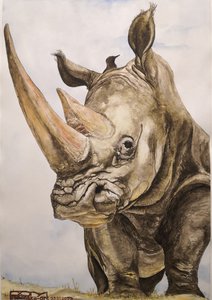 Носорог и его друг