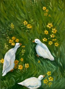 Утки на лугу