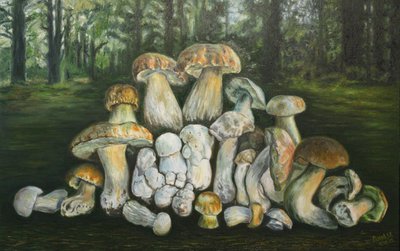 Картина  Белые грибы из леса возле хутор Вихляевский