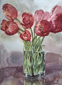 Майские тюльпаны