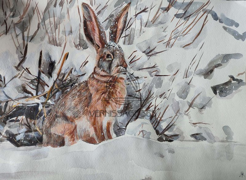 Зимний Заяц