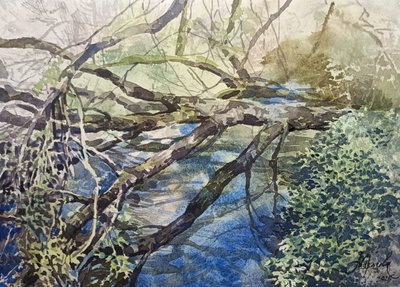 Весенняя вода